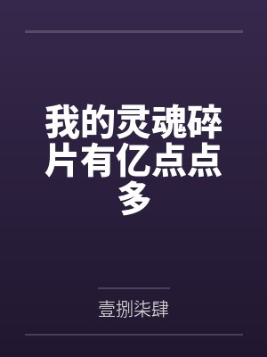 我的灵魂碎片有亿点点多